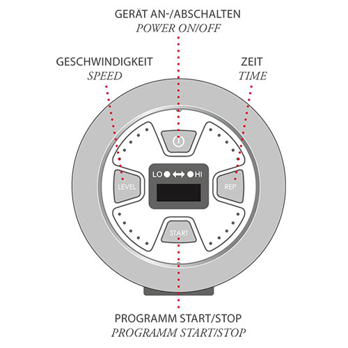 Adonis - Ausstellungsstück